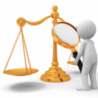 Tribunal de Disciplina Judicial. Sesgo político